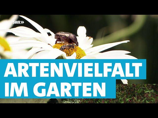 So können Sie mit ihrem Garten die Artenvielfalt fördern