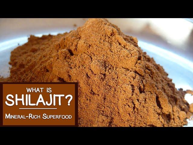 What is Shilajit? A Mineral-rich Superfood Adaptogen