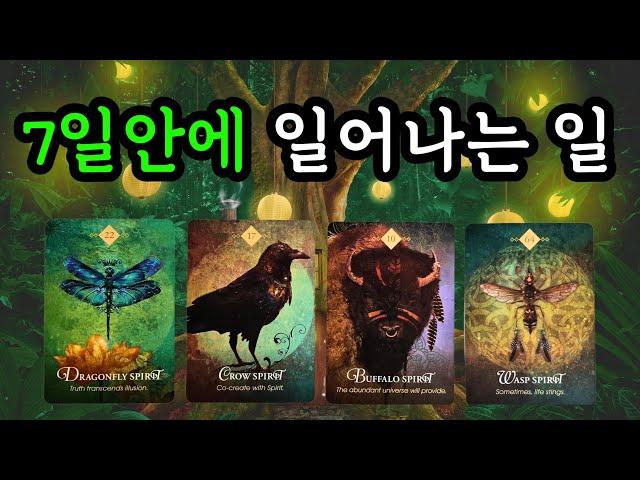 타로️ 7일 안에 일어나는 일! (5월5일~5월11일) 주간타로