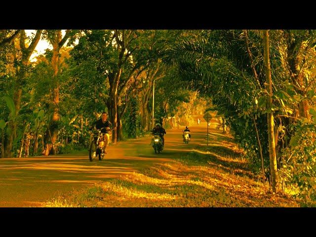 Nature cinematic | CINEMATIC 1 MENIT | CINEMATIC ALAM SEKITAR