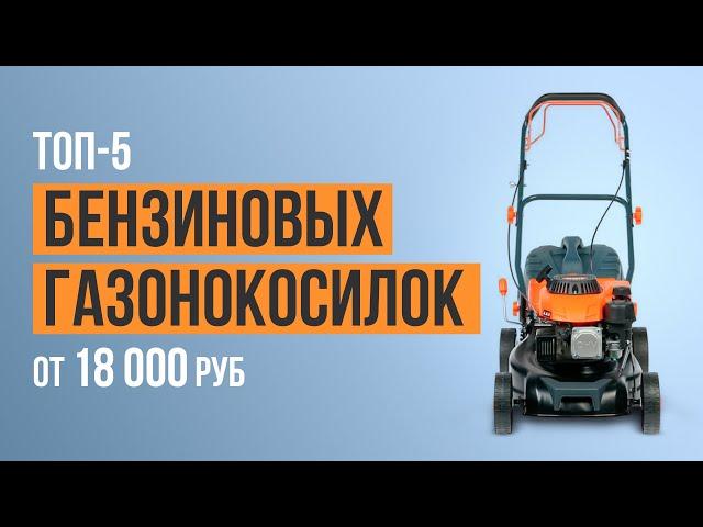 ТОП-5 Бензиновых газонокосилок от 18 000 рублей. Какую газонокосилку выбрать в 2023 году?