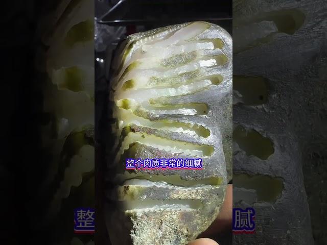 翡翠 珠寶直播 ：分享一個會卡青蛙皮，重600克，粉春牌子掛件好幾個，貨主要價一個W，你們能看到多少？#翡翠原石#原石毛料 #翡翠 #翡翠直播 #翡翠原石 #珠宝 #珠寶 #翡翠珠寶 #Shorts