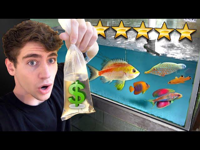 Shopping for the MOST EXPENSIVE RARE FISH!! ... (SALTWATER)