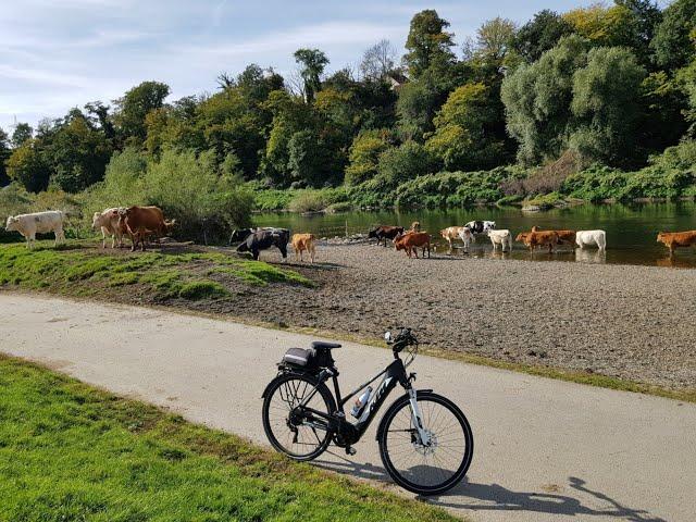 Entdecke das Ruhrgebiet auf dem Fahrrad ‍️ nach Witten-Bommern