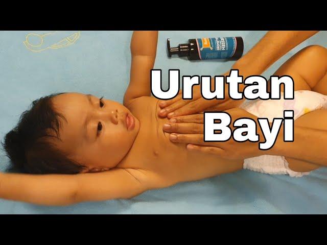 Urutan Bayi