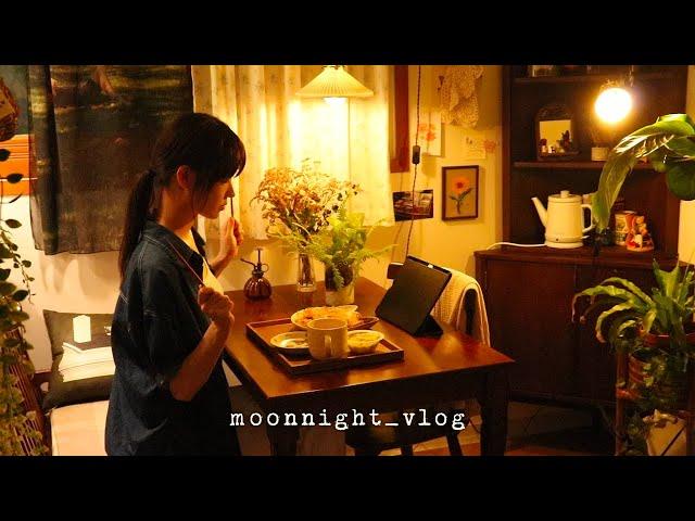 Moonnight vlog | Soft tofu Ramen. Making tofu noodle pasta and sweet potato jerky. Handarty korea