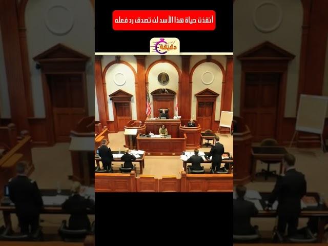 انقذت حياة هذا الأسد لن تصدق رد فعله 
