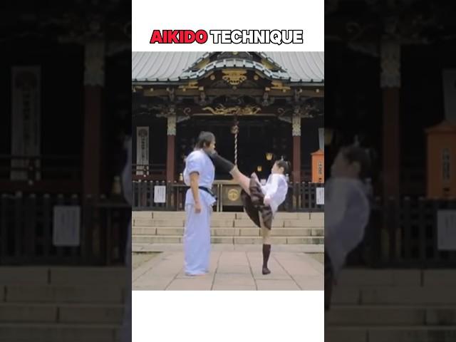 Aikido technique from roud kick #aikido #mma #karate