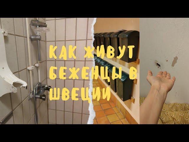 Как живут украинские беженцы в Швеции. Условия жизни.