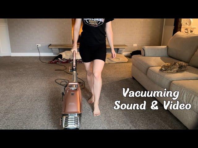 Vacuuming Sounds for Sleep with Sleepy Dogs by Cozy Fireplace