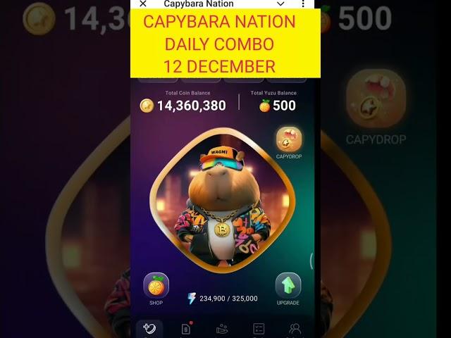 Capybara Nation Daily Combo Card Today | Capybara Nation combo 12 December@CryptoTechSunil