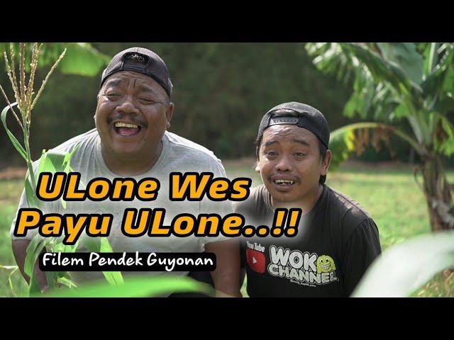 ULONE WES PAYU ULONE | EPS 19