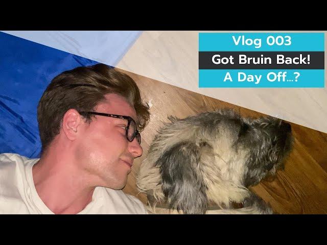 Vlog 003 | Got Bruin Back! | A Day Off? | Personal Statement Rant | Dr Mike Herring