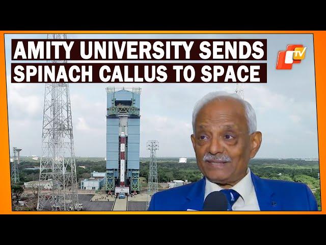 Indian Scientist Details Space Docking, Features Amity University's Spinach Callus Payload