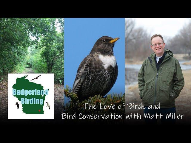 The Love of Birds and Bird Conservation with Matt Miller (TNC/Cool Green Science)