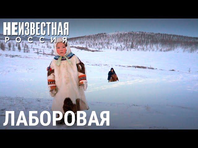 Дети тундры | НЕИЗВЕСТНАЯ РОССИЯ