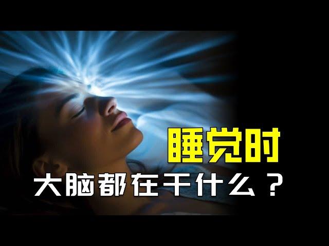 探索睡眠的奧秘：大腦如何在夢中重塑現實？【颀思诺想】