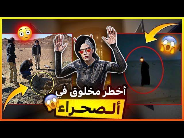 أهرب بعيداً اذا رأيت هذا المخلوق !! (ابو فانوس)