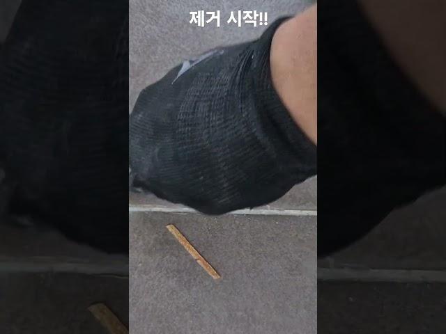 폴리우레아 4년 후 퍼플렉스 폴리아스파틱으로 재시공 영상! 재시공이 비싼 이유 #퍼플렉스 #폴리아스파틱 #4세대줄눈 #줄눈시공 #줄눈전문 #에폭시줄눈