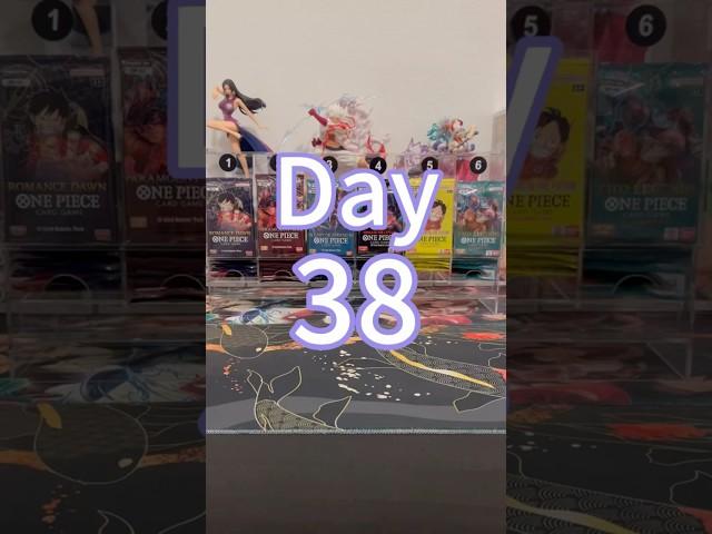 Day 38: OPENING ONE PIECE PACK UNTIL WE HIT A MANGA RARE! #onepieceseries #cards #anime