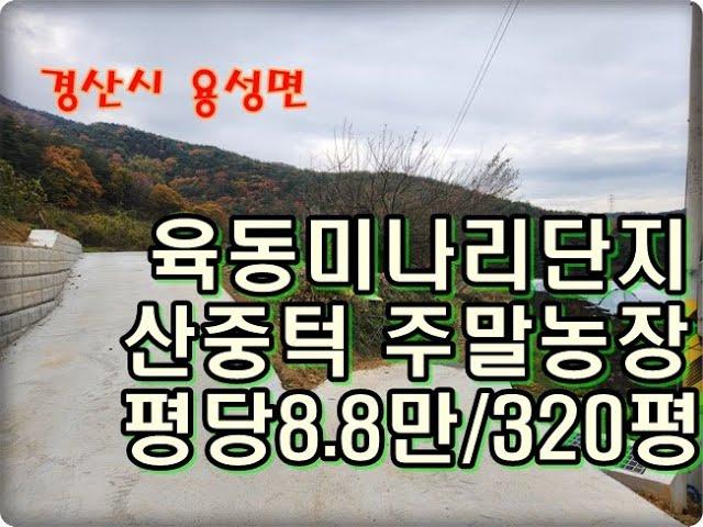 (영천착한부동산)NO.920/경산시 용성면 주말농장 320평 / 평당8.8만원 2,800만원