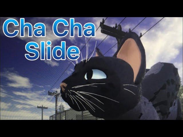 Cha cha slide warrior cat edition