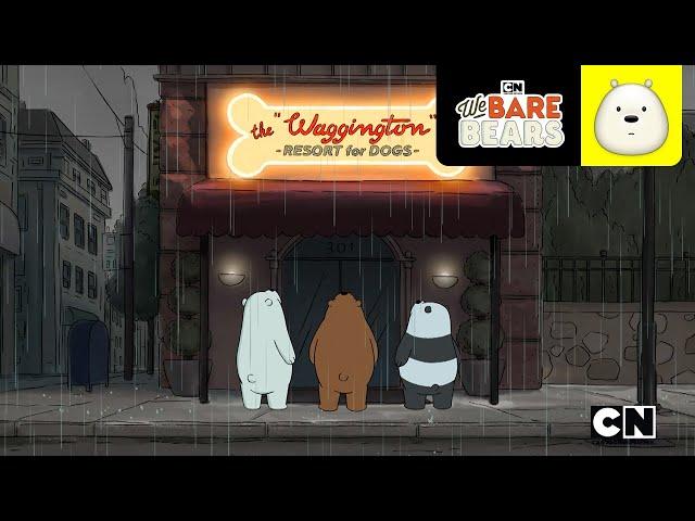 Hotel para perros | Escandalosos | Cartoon Network