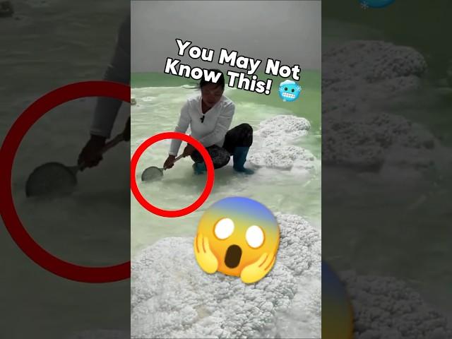Why Ocean Is Salty?