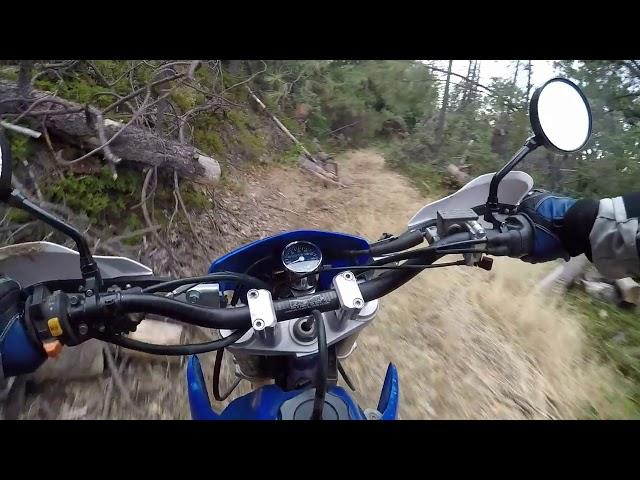 UpCountry Offroad: Bald Mt Rd to Forest Creek