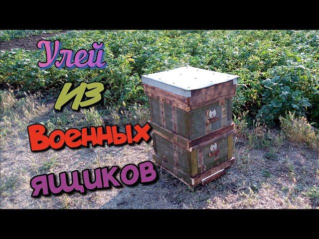 Это что-то необычное! УЛЕЙ из военных ящиков. Как сделать улей своими руками?