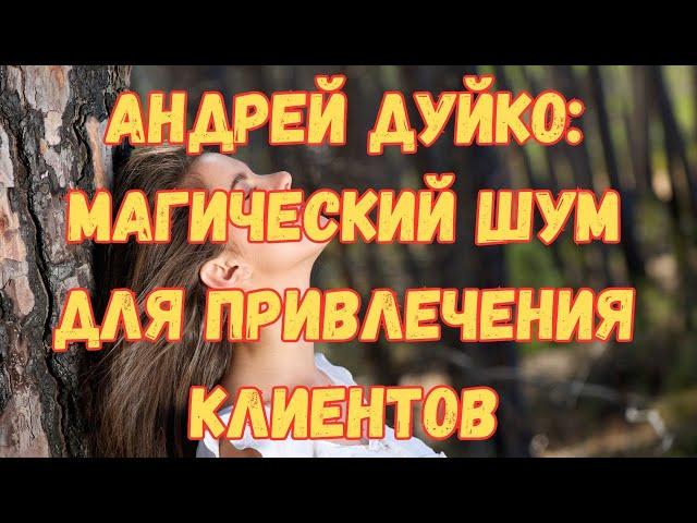 Андрей Дуйко: Магический шум для привлечения клиентов