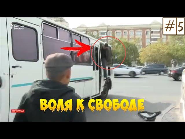 Приколы под Музыку 2020 | Лучшие Cмешные  Видео  #5 | Воля к Свободе