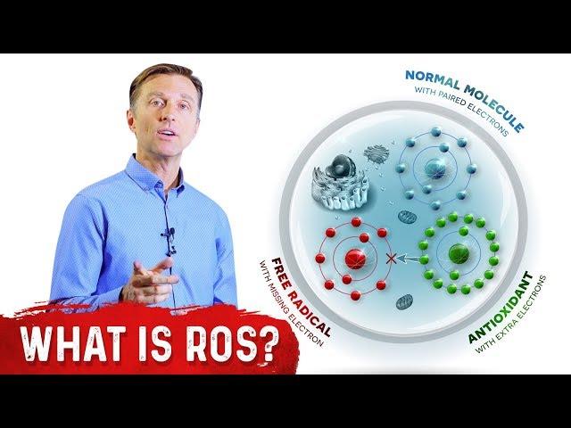 What Are Reactive Oxygen Species (ROS)? - Dr. Berg