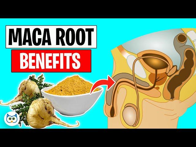 9 Maca Root Benefits You’ll Be Amazed To Know