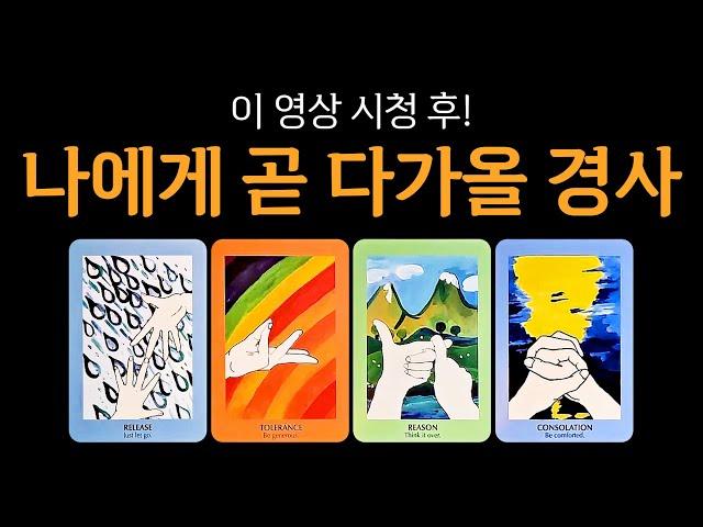 [타로] 나에게 곧 다가올 경사️