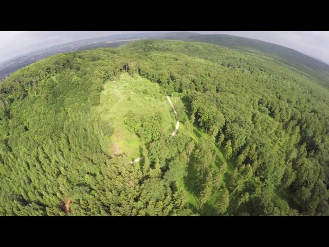 Полёт над лесом германии  4к