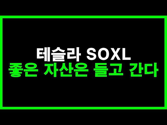 테슬라 SOXL 좋은 자산은 들고 간다. 그러나 장기투자 어려운 이유