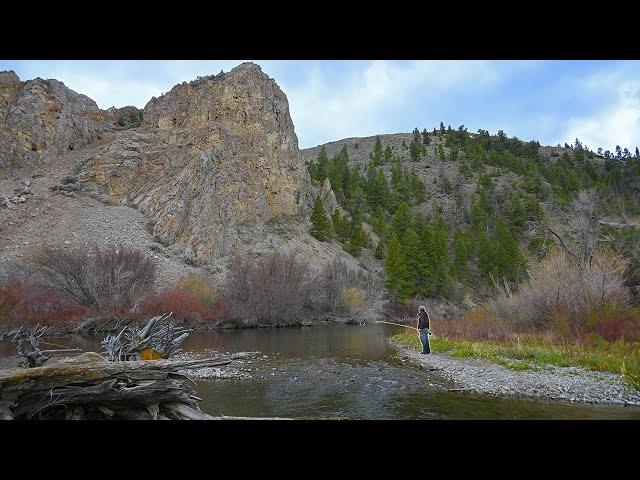 Trout Fishing for NATIVE Rainbow Trout! (Fly Fishing Trout)