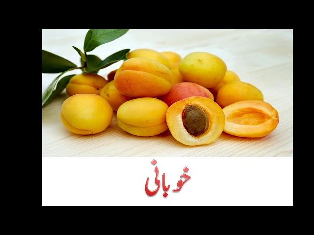 Reading & Writing Urdu letter khay  for Kids |  Bachon ko Urdu parhane ka tariqa