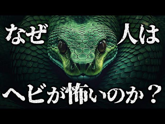 【ゆっくり解説】ヘビが霊長類に与えた進化とは？長きに渡る哺乳類とヘビの攻防戦