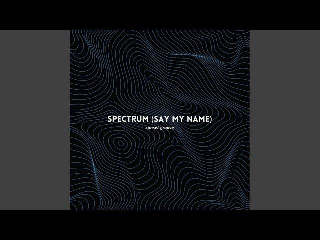 Spectrum (Say My Name)