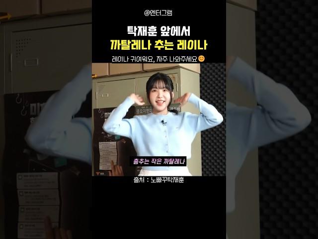 노빠꾸 탁재훈 앞에서 까탈레나 추는 레이나