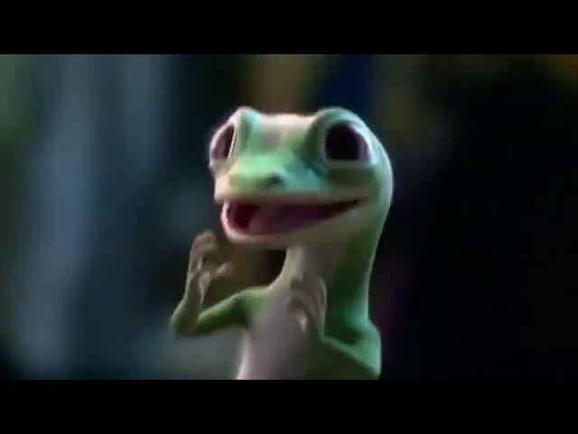 The "Geico" Gecko Complination