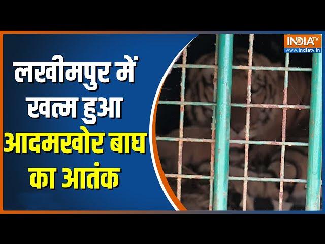 Lakhimpur Kheri News: गांववालों को मारने वाला आदमखोर बाघ पिंजरे में कैद | Jaago India | Morning News