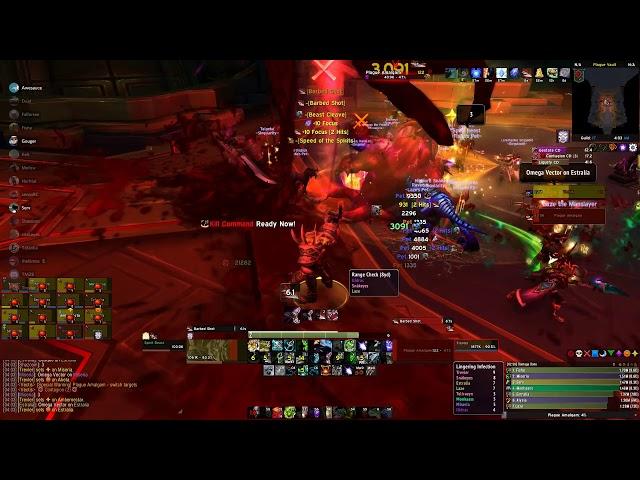 Singularity Vs Vectis (Uldir N) - BM Hunter ilvl339