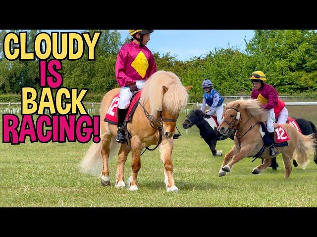 CLOUDY IS BACK RACING IN THE SHETLAND PONY GRAND NATIONAL