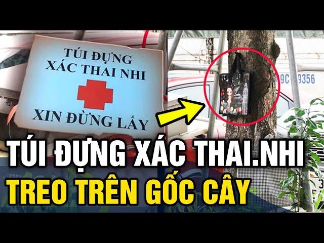 Bí ẩn 'TÚI ĐỰNG XÁC THAI NHI XIN ĐỪNG LẤY' treo ở gốc cây ven đường và sự thật nhói lòng