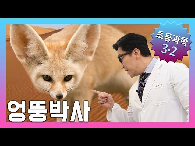 사막에는 어떤 동물이 살까요? | 초등3학년2학기 과학, 실험 |