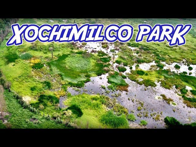 A Tour Of Xochimilco Ecological Park