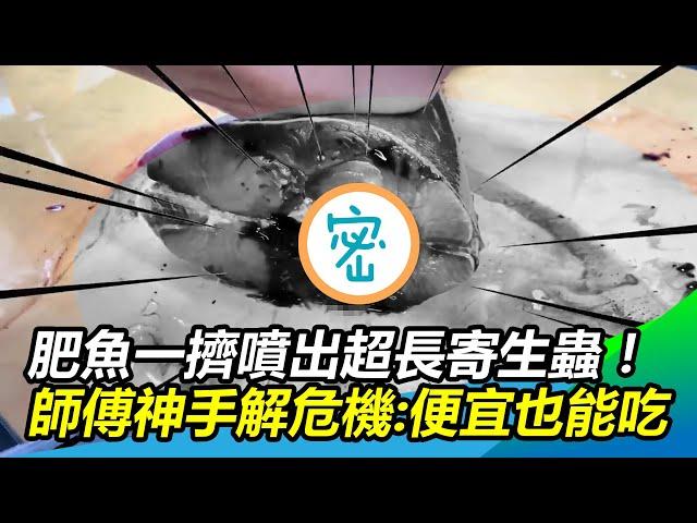 新鮮肥魚一擠噴出超長寄生蟲！師傅神手解危機：便宜也能吃｜@setn